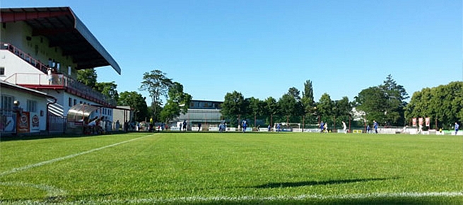 Stadion Pod Vinicí